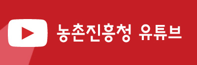 채소 사진 으슬으슬한 환절기, 뿌리채소로 4