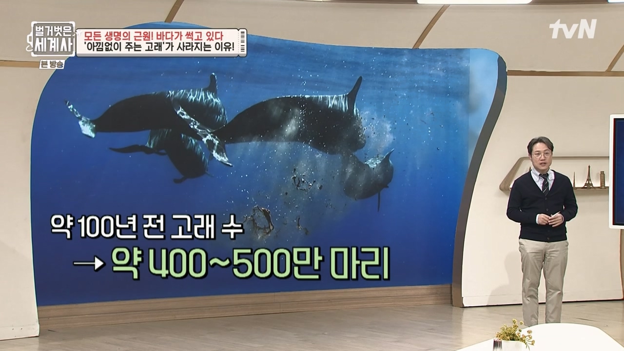 벌거벗은 세계사.E90.230315p-NEXT.mp4_20230419_212557.595.jpg