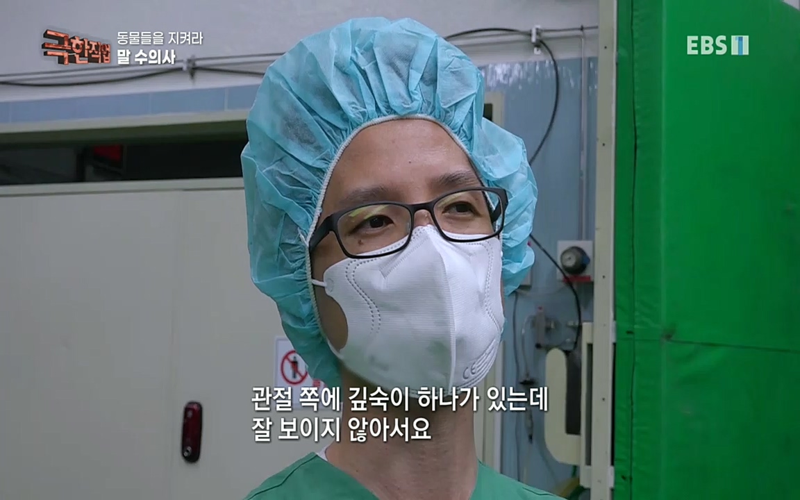 TV - 교육의 중심 EBS동물들을 지켜라, 수의사와 유기 동물 구조팀.mp4_20220913_200142.922.jpg