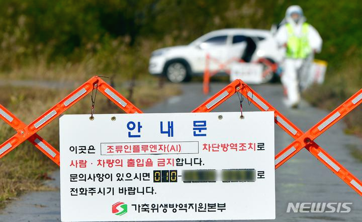  조류독감 관련주 대장주 6종목