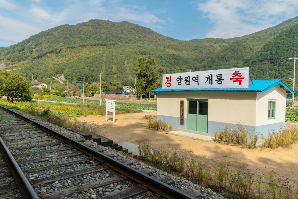 영화 기적 실화 결말 촬영지 넷플릭스 평점 및 리뷰 18