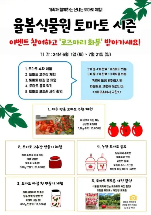 율봄식물원 토마토 시즌