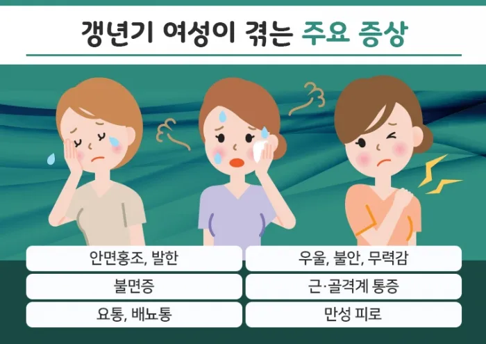 갱년기에 좋은 약