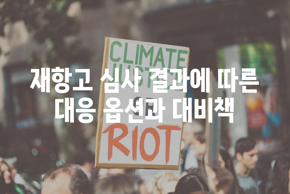 재항고 심사 결과에 따른 대응 옵션과 대비책