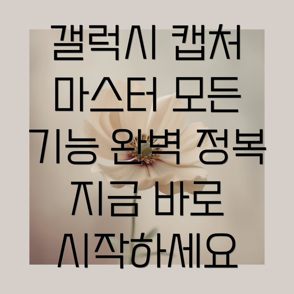 갤럭시 캡쳐