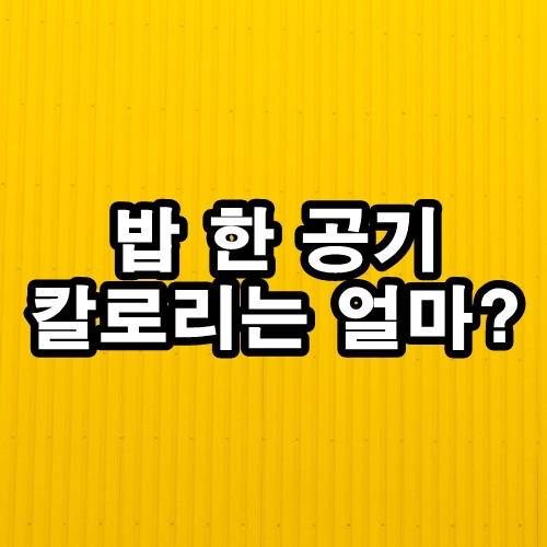  밥 한 공기 칼로리는 얼마일까?
