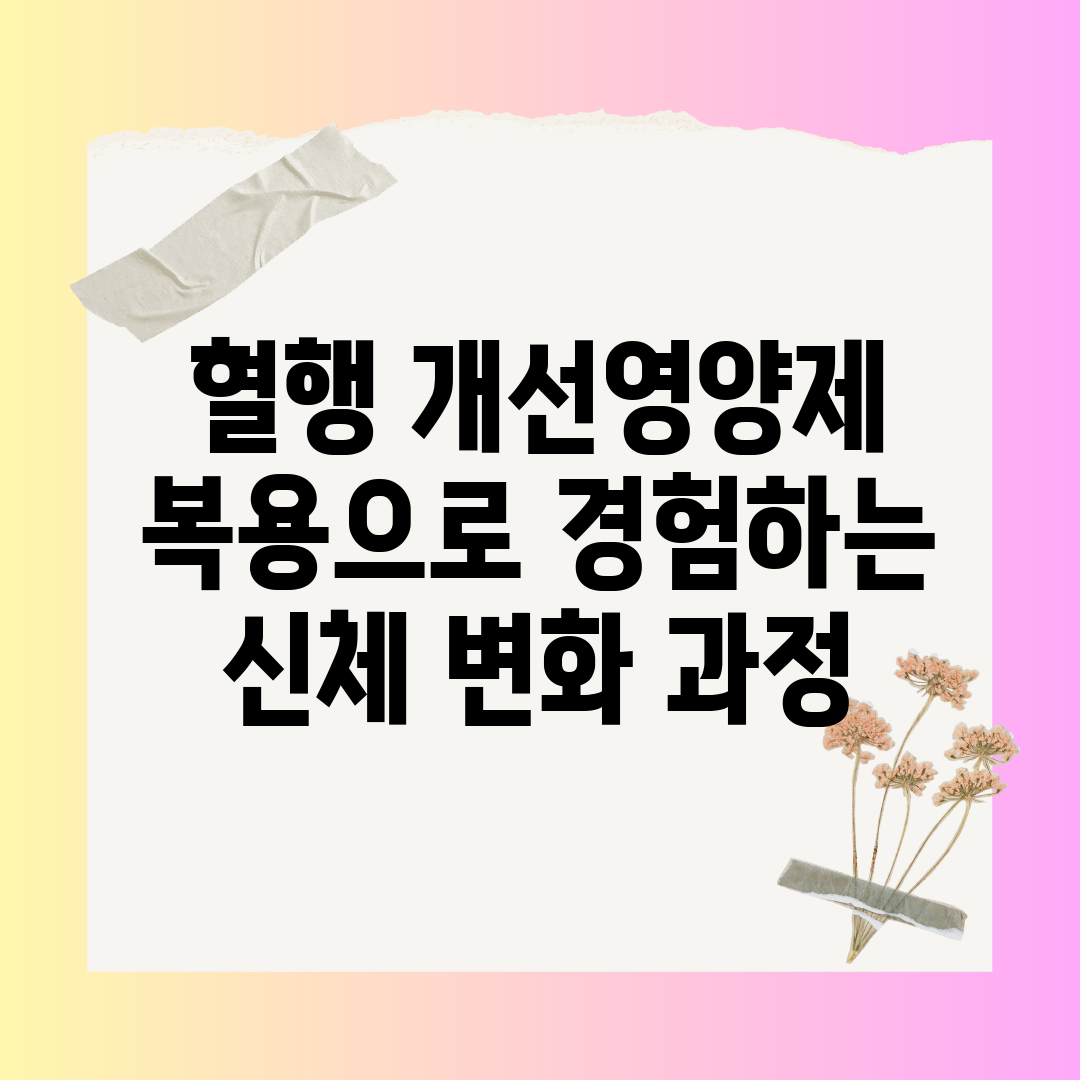 혈행 개선영양제 복용으로 경험하는 신체 변화 과정