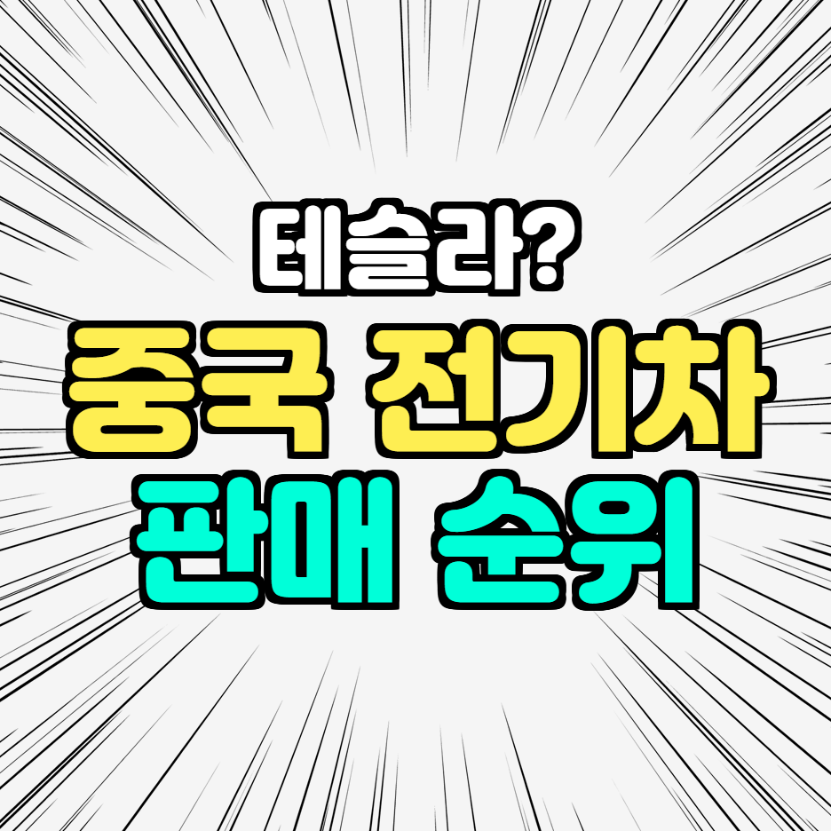  중국 내에서 판매되는 전기차 1등은 어디일까? 테슬라 니오?
