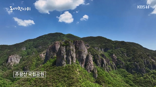 동네 한 바퀴.E228.230618p-NEXT.mp4_20230621_213512.915.jpg