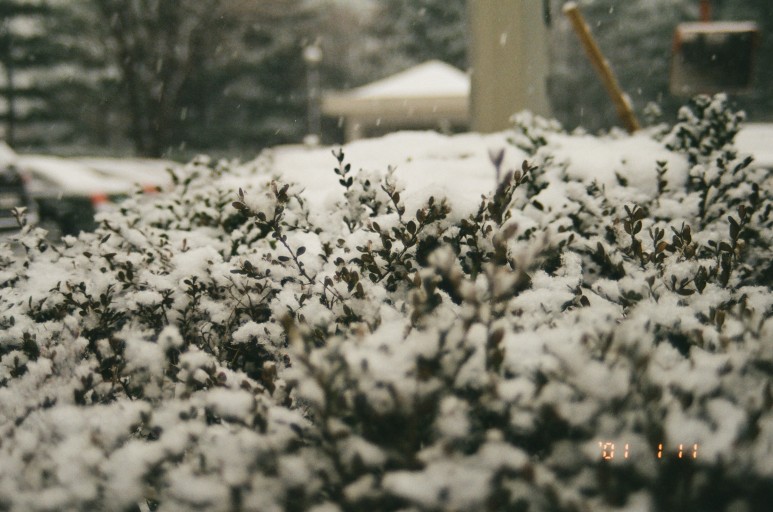 중고 펜탁스 SF7 자동차 필름 카메라 이야기. 결과는 9개월만에 나왔다. 24