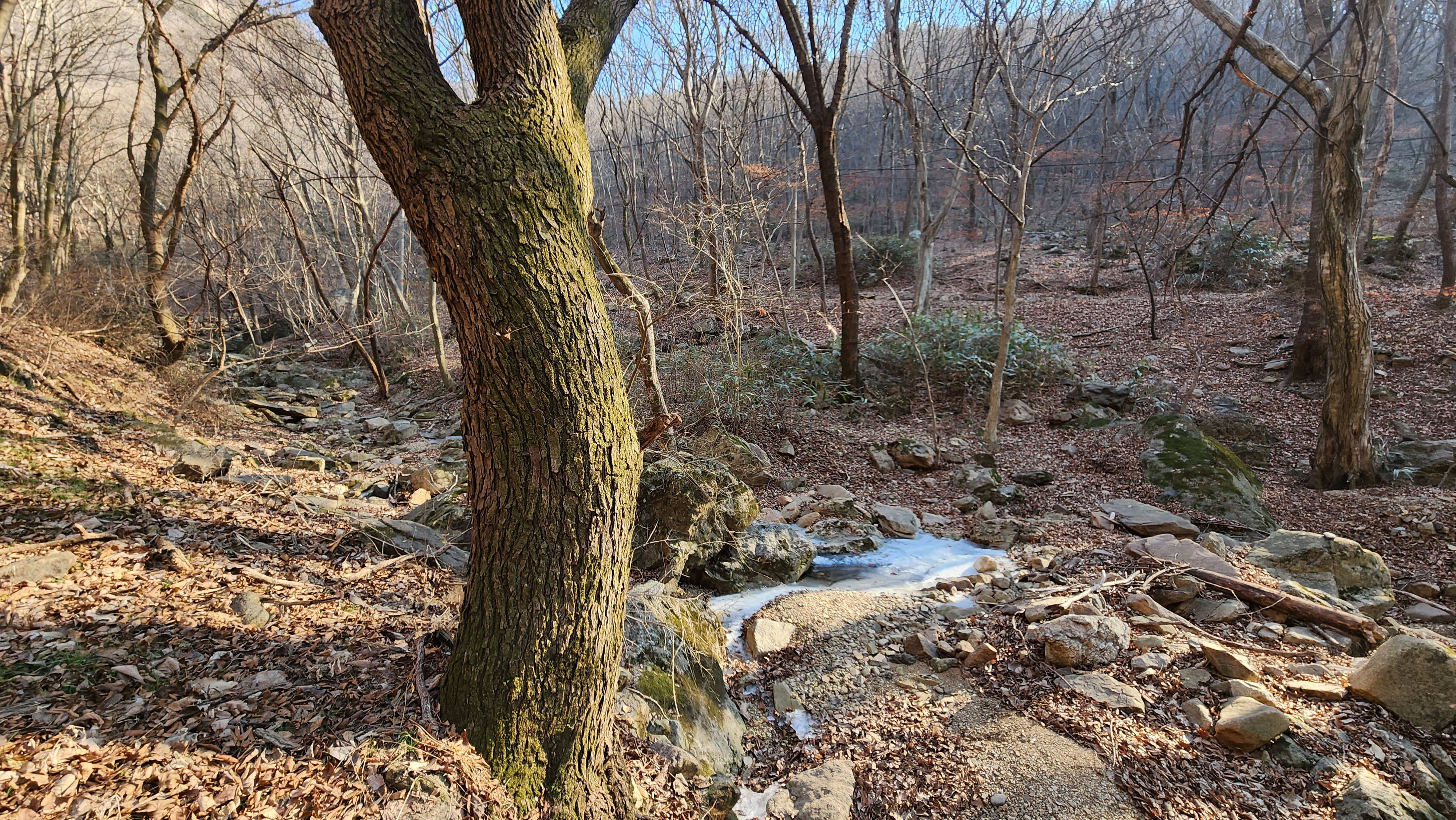 2월 불명산 얼음