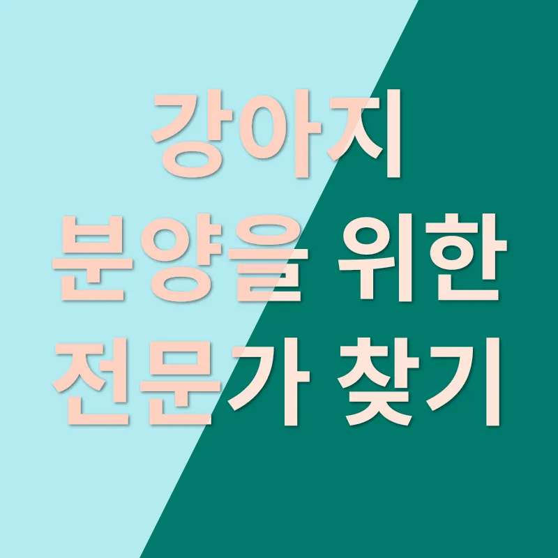 반려견 분양_1