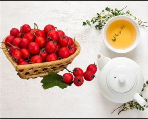  산사효능 및 활용, 산사열매 부작용