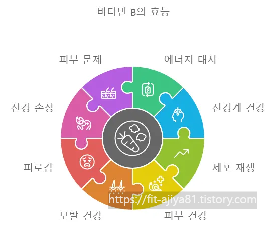 비타민B 효능