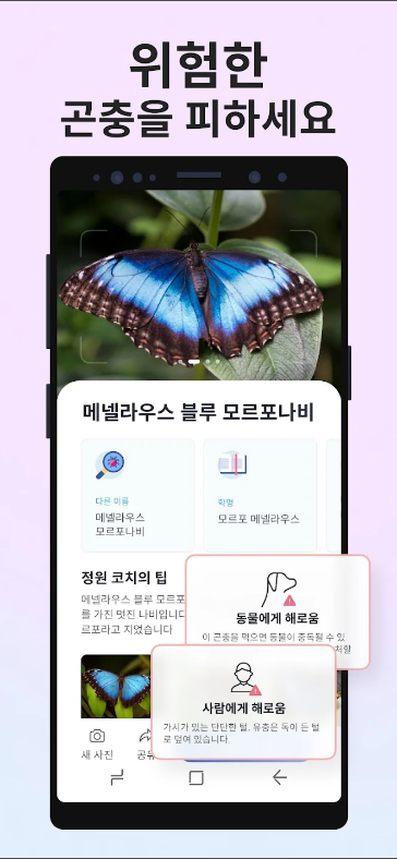 피처&nbsp;버드(Picture&nbsp;Bird)&#44;&nbsp;사진으로&nbsp;곤충&nbsp;식별&#44;&nbsp;곤충&nbsp;이름 찾기&nbsp;어플