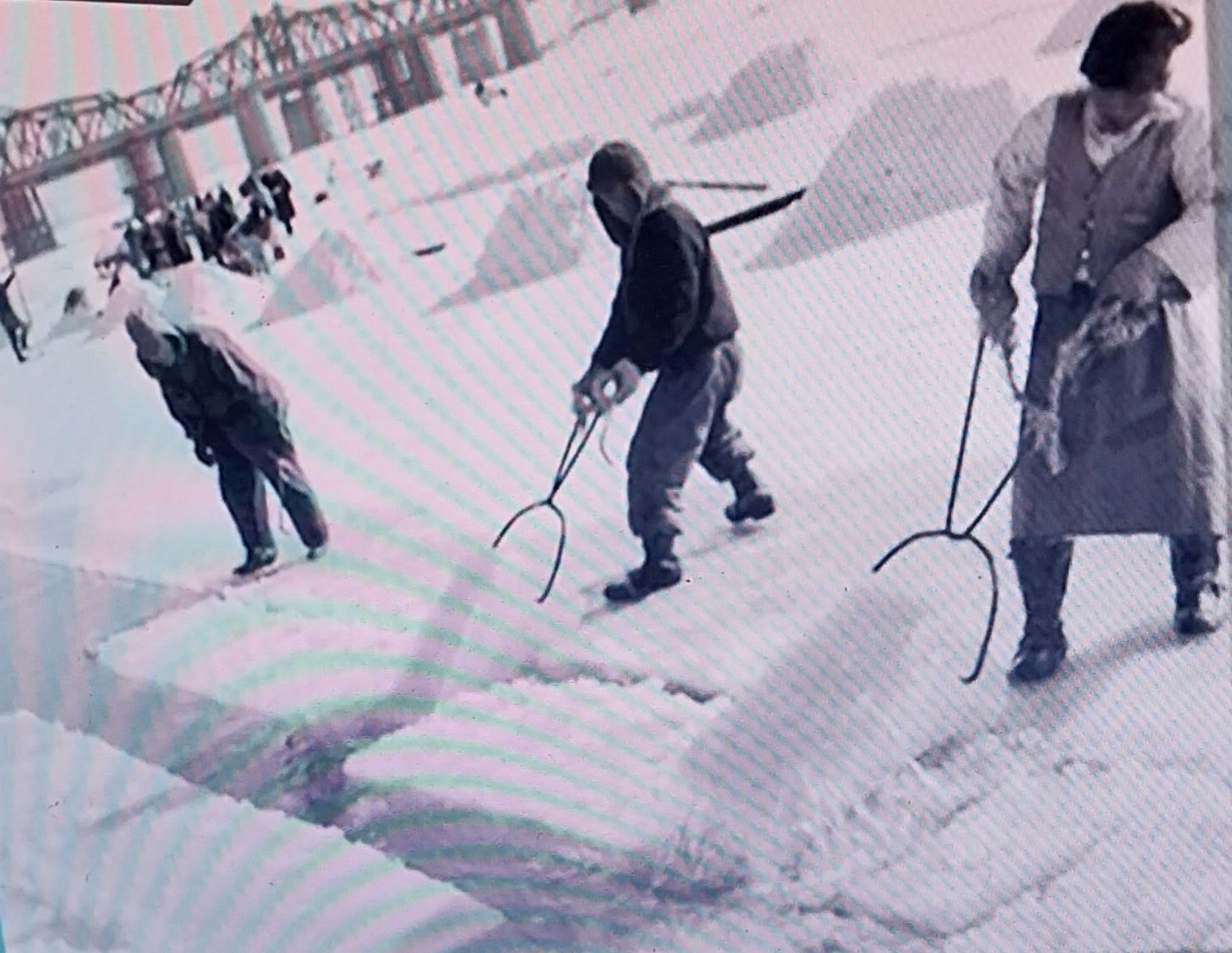 일자리 구하기 1