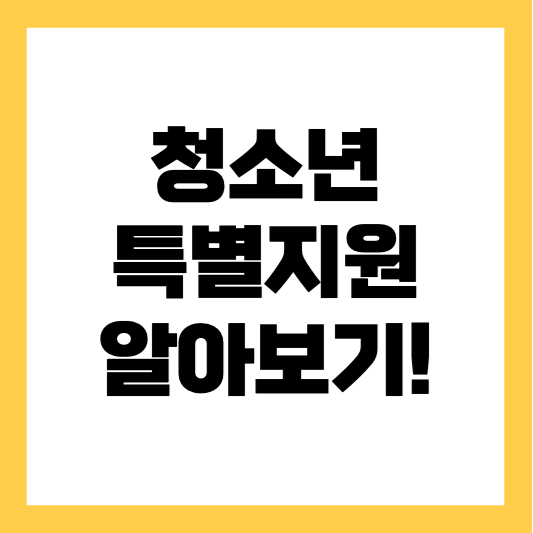 청소년 특별 지원