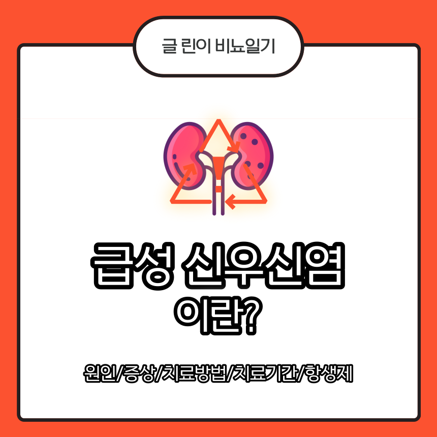  급성 신우신염 이란? 원인/증상/치료방법/치료기간/항생제