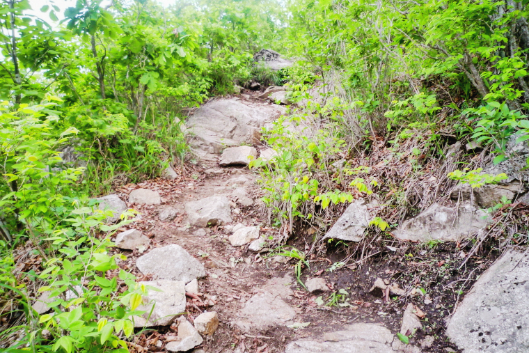 한국 명산 강원 철원 명성산 등산 mountain hiking