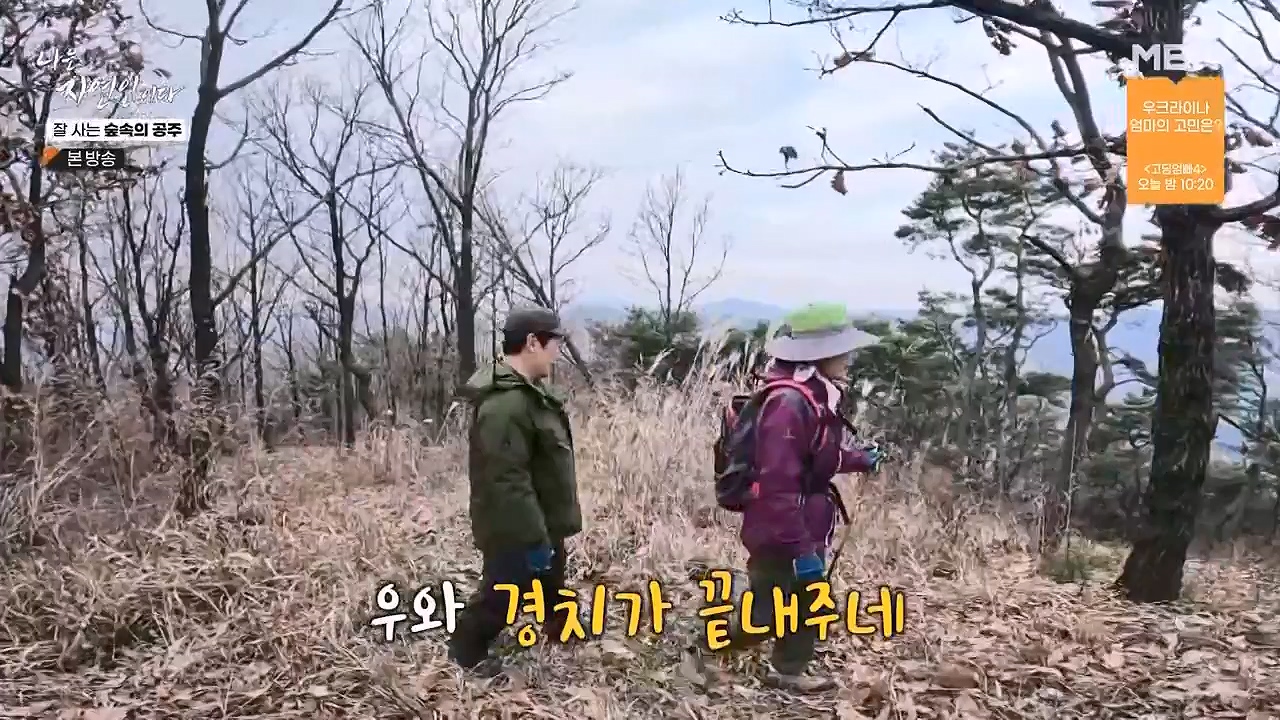 나는 자연인이다.E582.231130p-NEXT.mp4_20231130_200819.811.jpg