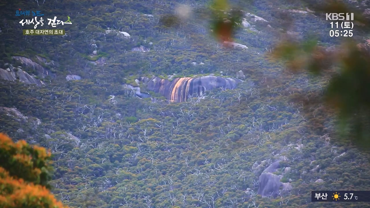 트레킹노트 세상을 걷다.E296.231112p-NEXT.mp4_20231111_182050.917.jpg