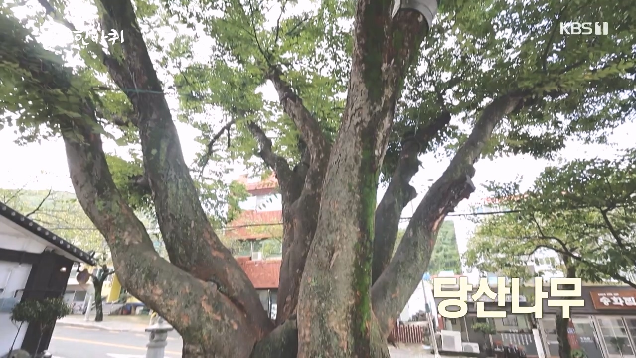 동네 한 바퀴.E243.231015p-NEXT.mp4_20231015_180553.524.jpg