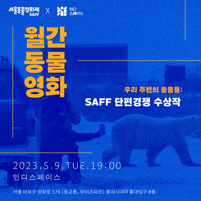 인디페이스 이미지