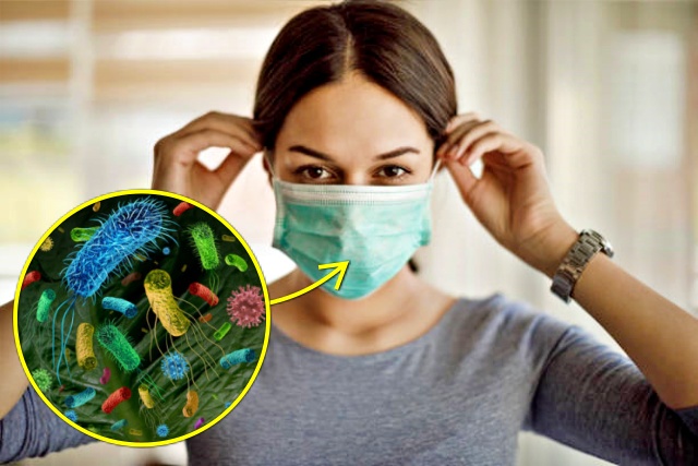 30대 여성 감기 독감, 건강 팁줌 매일꿀정보