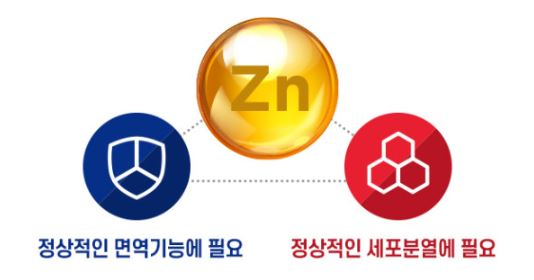 GNC 아연