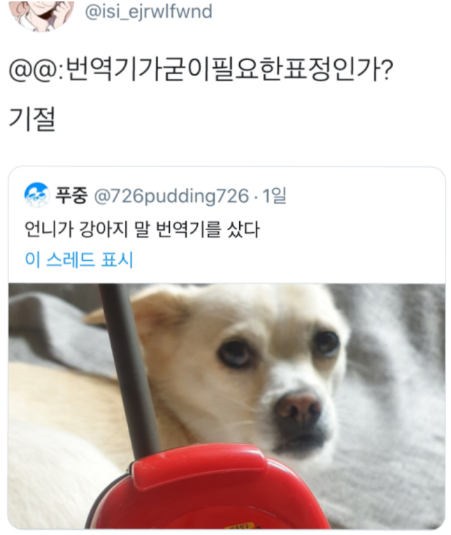  언니가 강아지 말 번역기를 샀다
