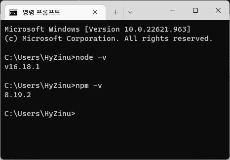 노드 버전 정보