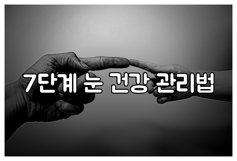 7단계 눈 건강 관리법