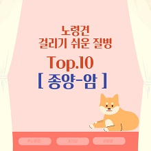  노령견이 걸리기 쉬운 질병 Top.10  [ 1.종양 -암  ]