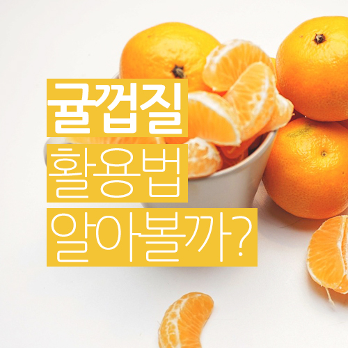  버려지는 귤껍질 효능과 활용법을 알아볼까?