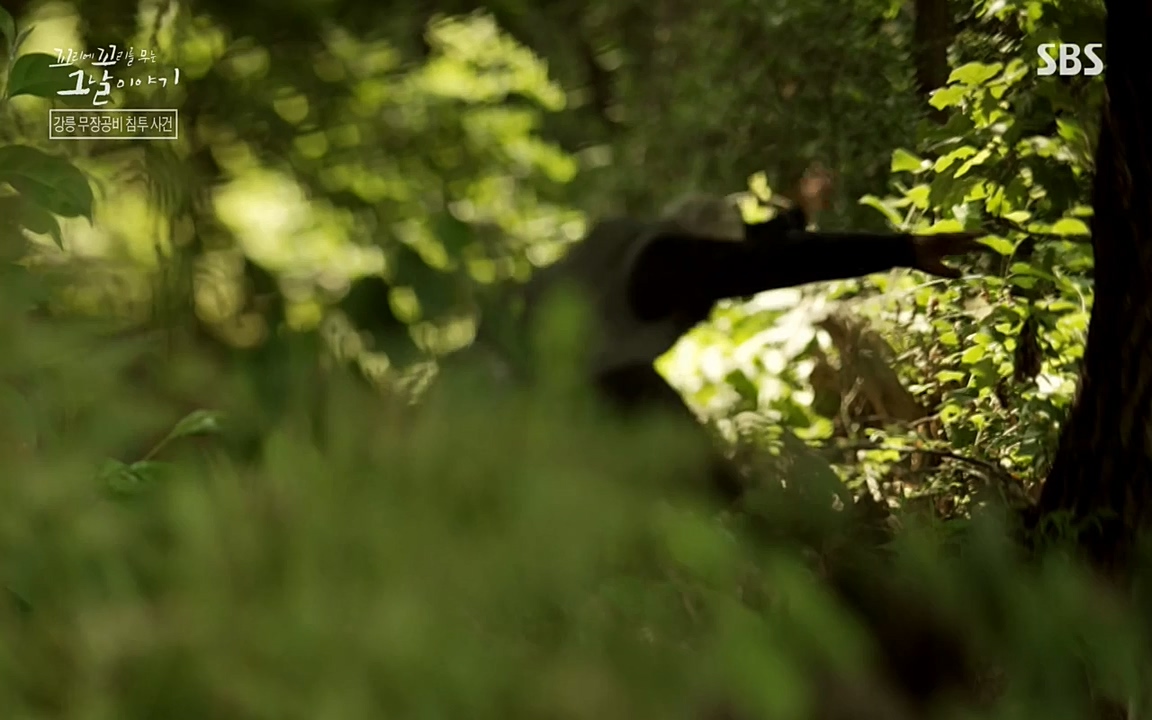 꼬리에 꼬리를 무는 그날 이야기.E38.220729p-NEXT.mp4_20220730_191123.419.jpg