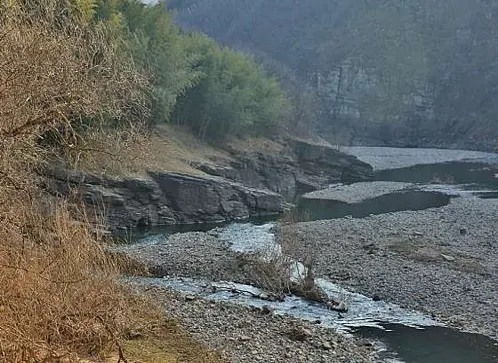 반구대암각화