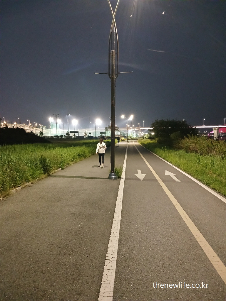 A person walking at night under streetlights in Guri Hangang Citizen Park-구리 한강시민공원에서 가로등 아래 걷는 사람의 모습
