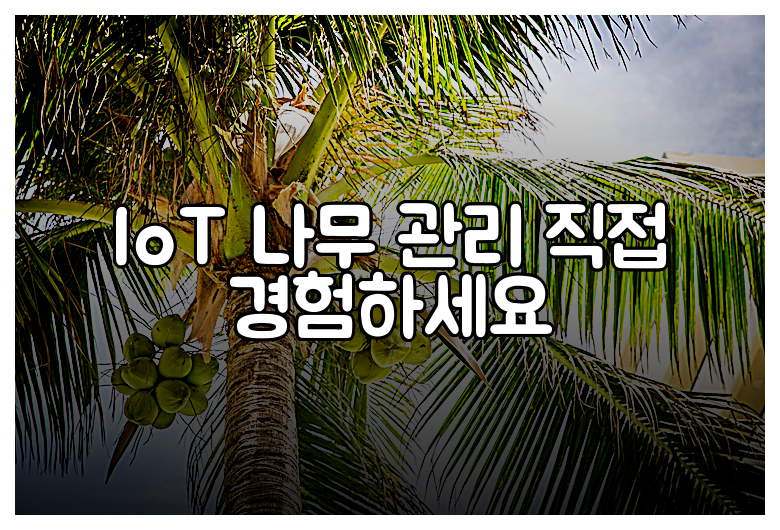 IoT 나무 관리 직접 경험하세요
