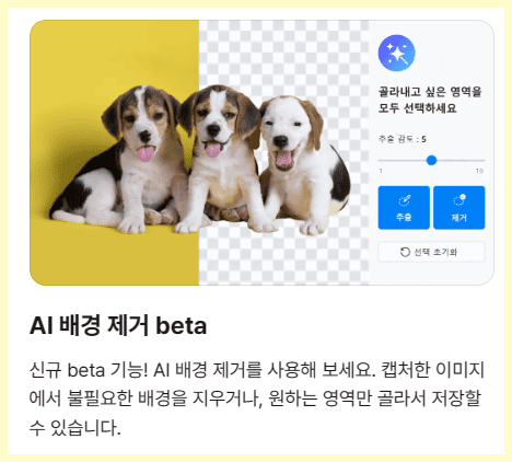 컴퓨터-화면-캡쳐,알캡쳐,알캡쳐-다운로드,알캡쳐-단축키,스크롤캡쳐,픽픽