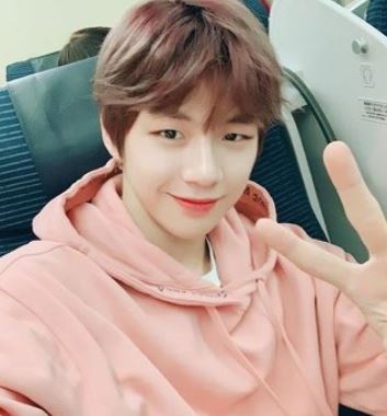  강다니엘 활동중단