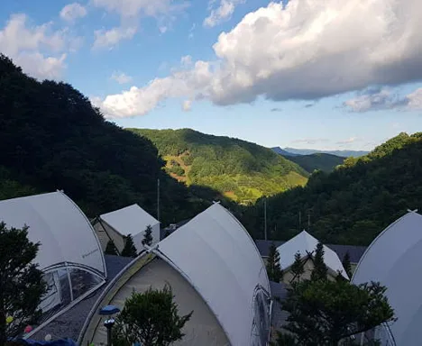 코뿔소글램핑
