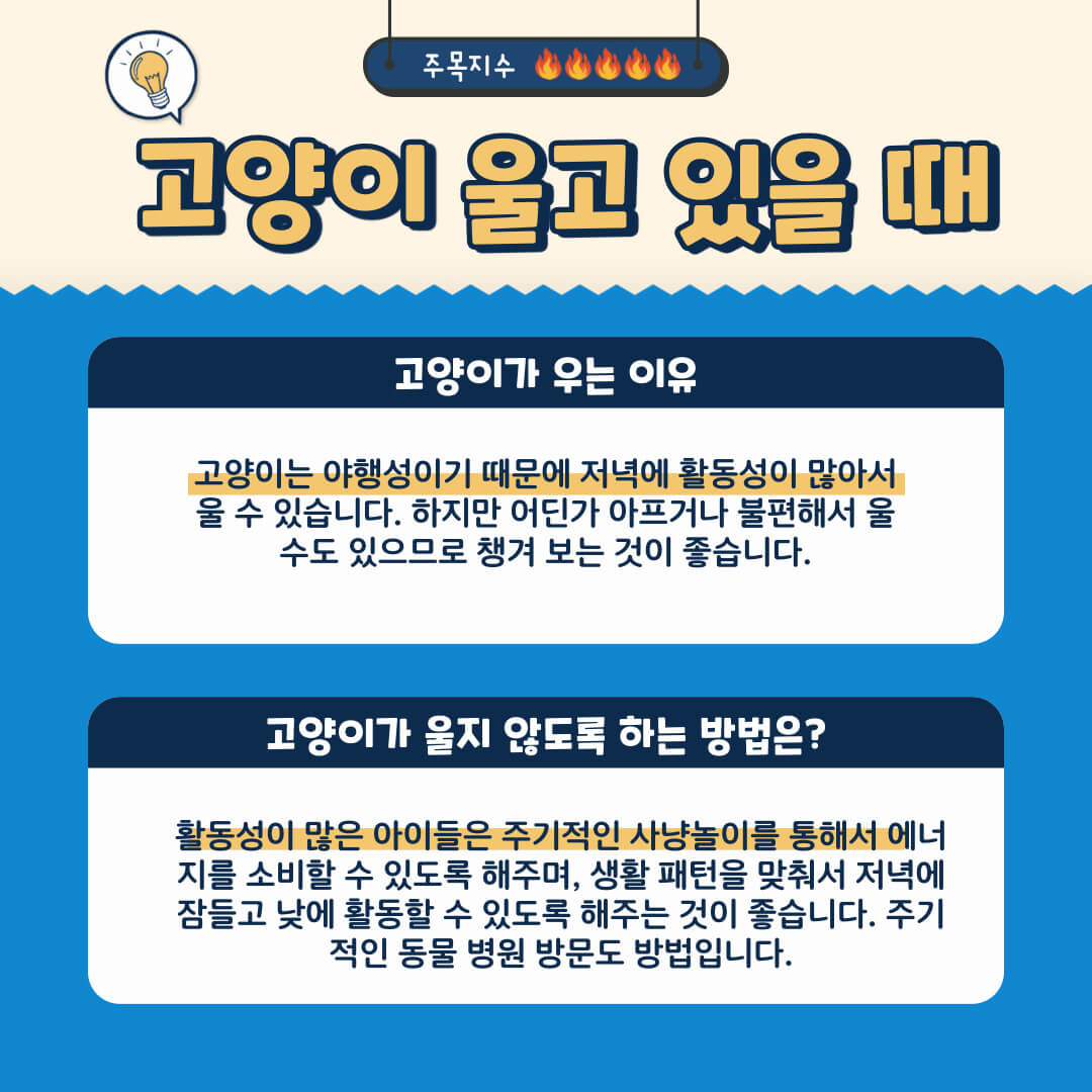 고양이가 울지 않도록 하는 방법