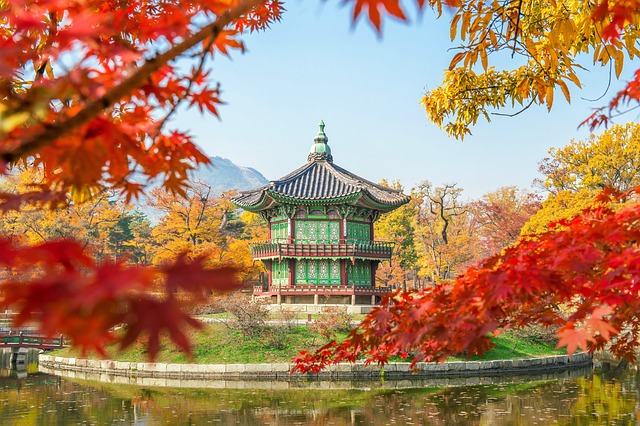 A scenic hiking trail in South Korea surrounded by vibrant autumn foliage, towering mountains, and a clear blue sky. The wooden trail path leads through a serene forest, emphasizing adventure and natural beauty