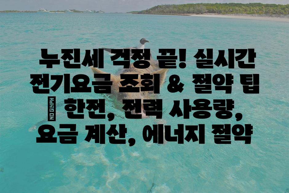 샘플 (1)