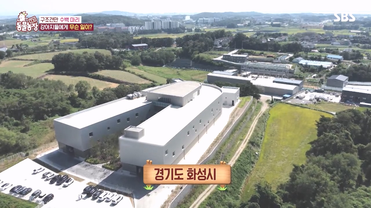 TV 동물농장.E1142.231023p-NEXT.mp4_20231022_171727.224.jpg