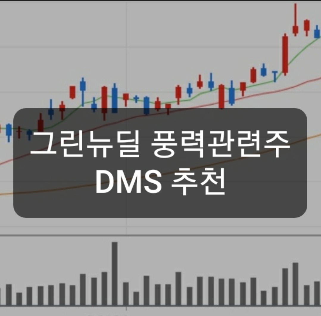  DMS 주가 신사업 진출로 재평가받을까