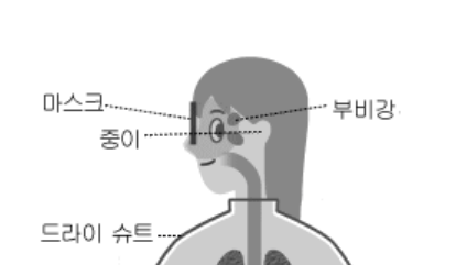 식염수 코세척 부작용