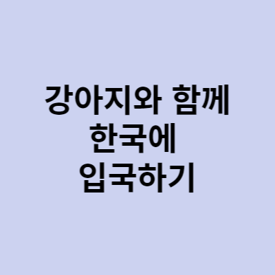 강아지와 입국