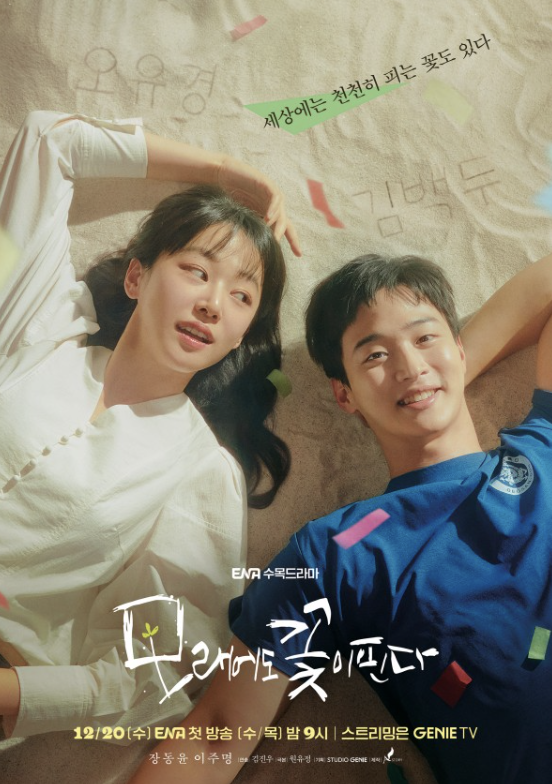 모래에도 꽃이핀다