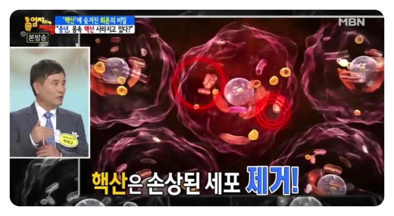 혈압 낮추는법 낮추는 음식 차 혈압이 높을때 증상